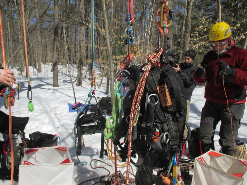Tree climbing is a gear intensive undertaking. Melissa and Bear provided the instruction and gear to make it safe. 